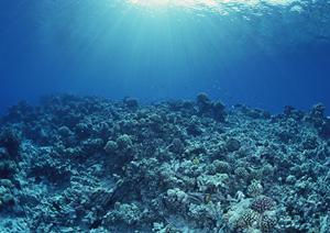 金沢で家族で楽しむ体験学習！伝統文化を学びながら思い出を作る方法