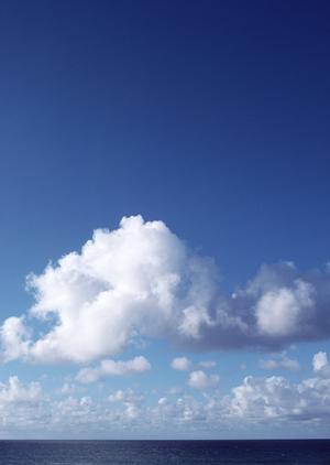 渦潮の観光ならこの船がおすすめです。