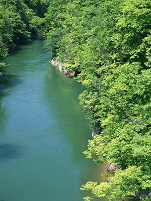 千葉県市川市のビジネスホテル:東横INN西船橋原木インターの魅力と詳細ガイド