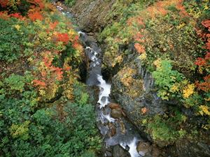 山形駅から徒歩4分の快適ビジネスホテル:東横INN山形駅西口の全魅力を徹底解説