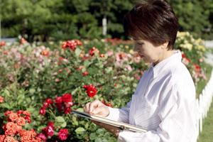 静岡市のシティホテル内レストラン『中島屋グランドホテル テラスレストラン』の魅力と特徴