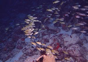 東京駅から徒歩3分!便利さ抜群の東横INN東京駅八重洲北口の魅力と詳細紹介