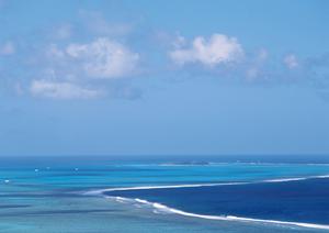 横浜市のビジネスホテル「東横INN新横浜駅前新館」の完全ガイド ? 快適な宿泊と便利なアクセスを提供