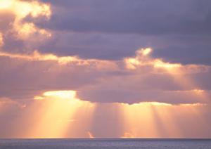 東横INN燕三条駅前:アクセス良好・快適な滞在を提供する新潟県燕市のビジネスホテル