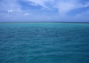 奈良王寺駅南口から徒歩5分の快適宿泊!東横INN奈良王寺駅南口の魅力と詳細情報