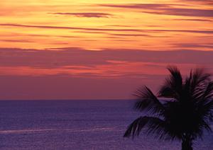 池袋からアクセス便利!東横INN池袋北口1の魅力と詳細情報