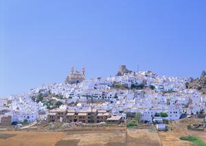 東横INN東大阪:大阪で快適に過ごせるビジネスと観光に最適なホテルの魅力徹底紹介