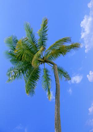 神奈川県相模原市橋本駅近くのビジネスホテル:東横INN京王線橋本駅北口の魅力と詳細解説