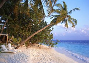 住友不動産が提供する快適なホテル滞在:ヴィラージュ京都の魅力と特徴