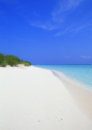 東横INN調布京王線布田駅:快適で便利なビジネスホテルの全貌と魅力